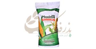 Iranian Maxima corn seed 